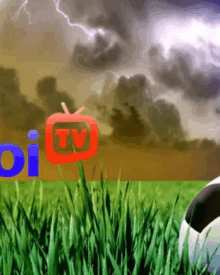 Săn sopcast link miễn phí, xem bóng cực đã – Vaoroi là điểm đến số 1 dành cho tín đồ thể thao vua
